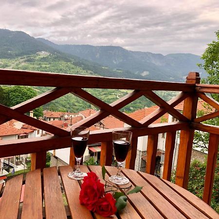 Apostolos Hotel Metsovo Ngoại thất bức ảnh