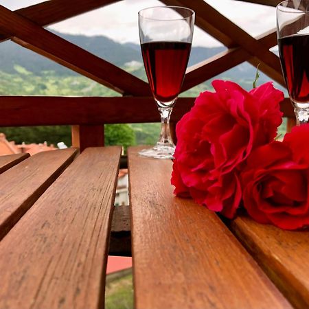 Apostolos Hotel Metsovo Ngoại thất bức ảnh