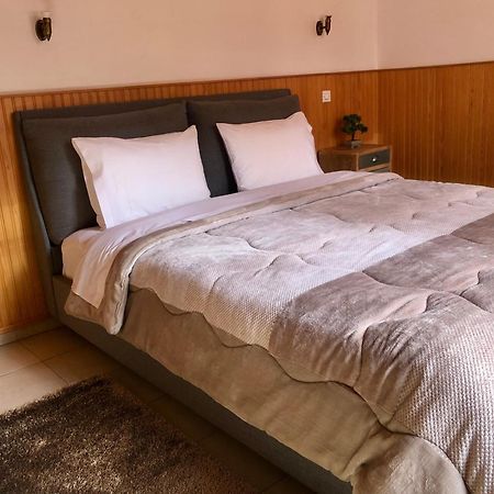 Apostolos Hotel Metsovo Ngoại thất bức ảnh
