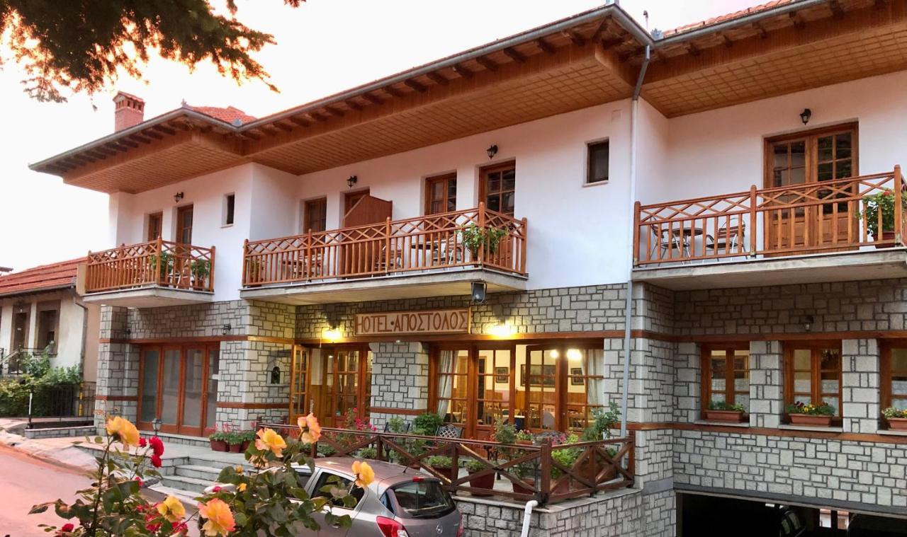 Apostolos Hotel Metsovo Ngoại thất bức ảnh