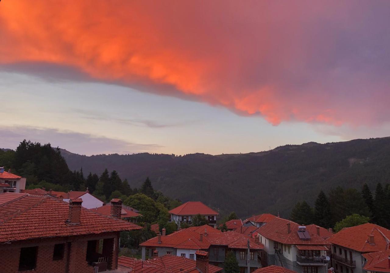 Apostolos Hotel Metsovo Ngoại thất bức ảnh