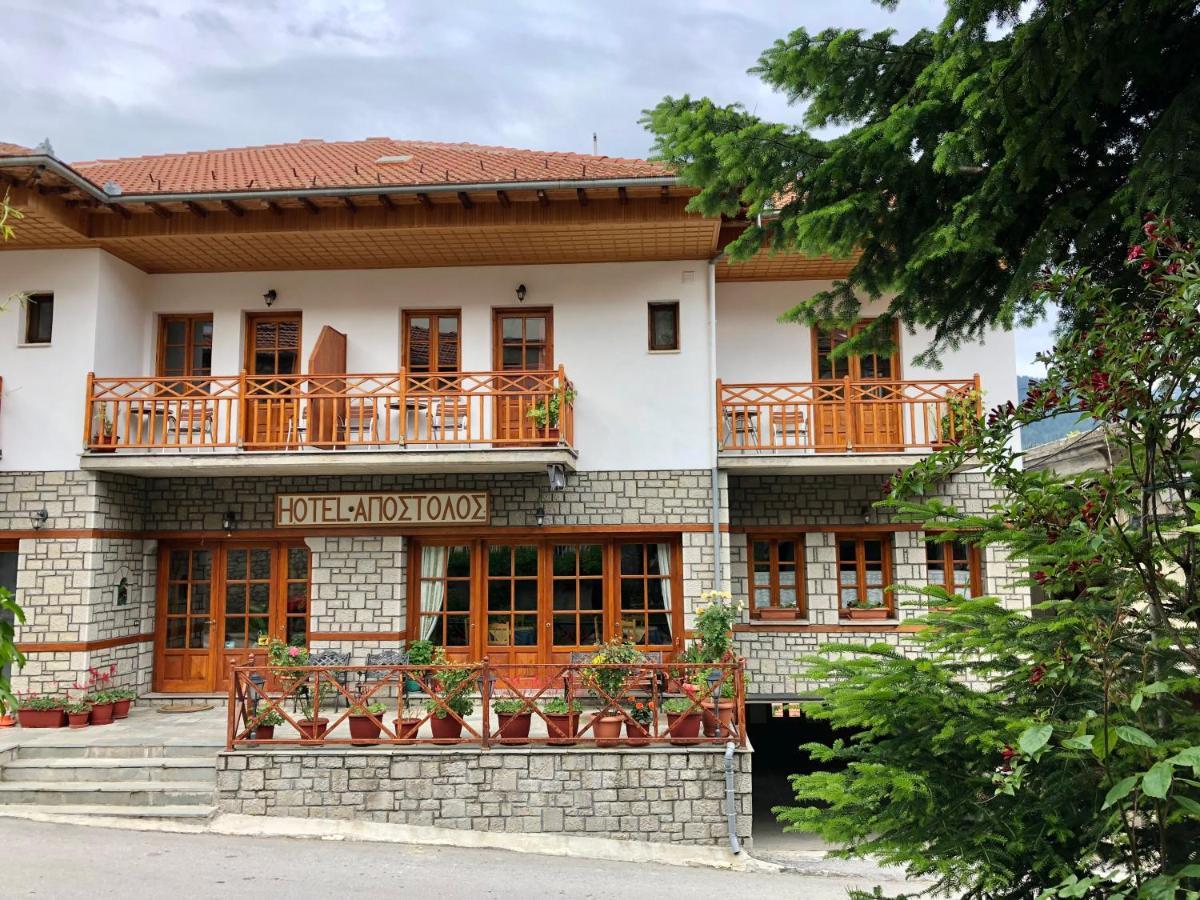 Apostolos Hotel Metsovo Ngoại thất bức ảnh
