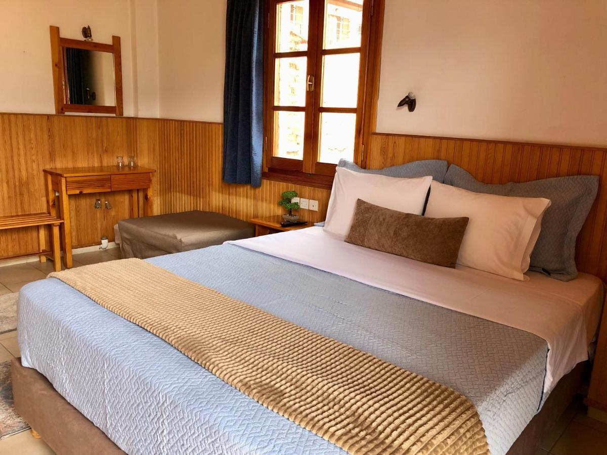 Apostolos Hotel Metsovo Ngoại thất bức ảnh
