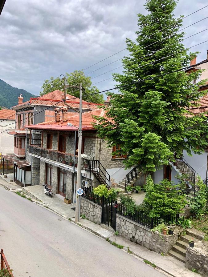 Apostolos Hotel Metsovo Ngoại thất bức ảnh