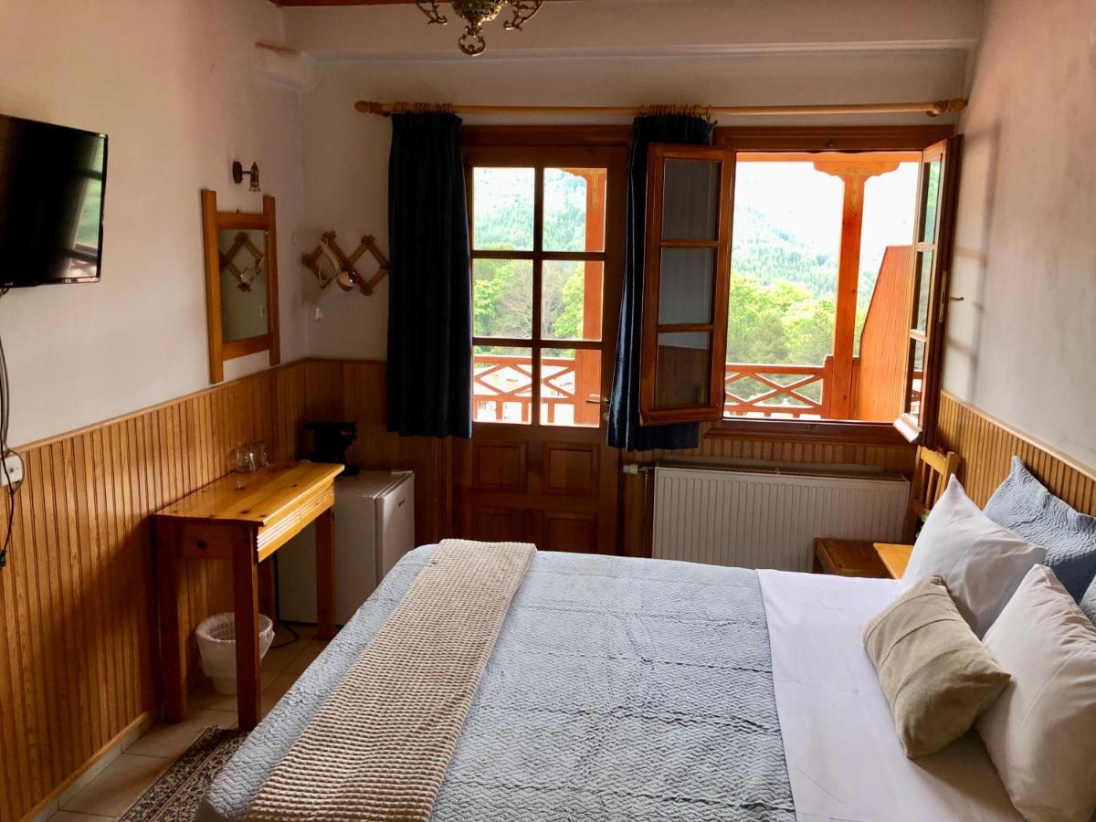 Apostolos Hotel Metsovo Ngoại thất bức ảnh