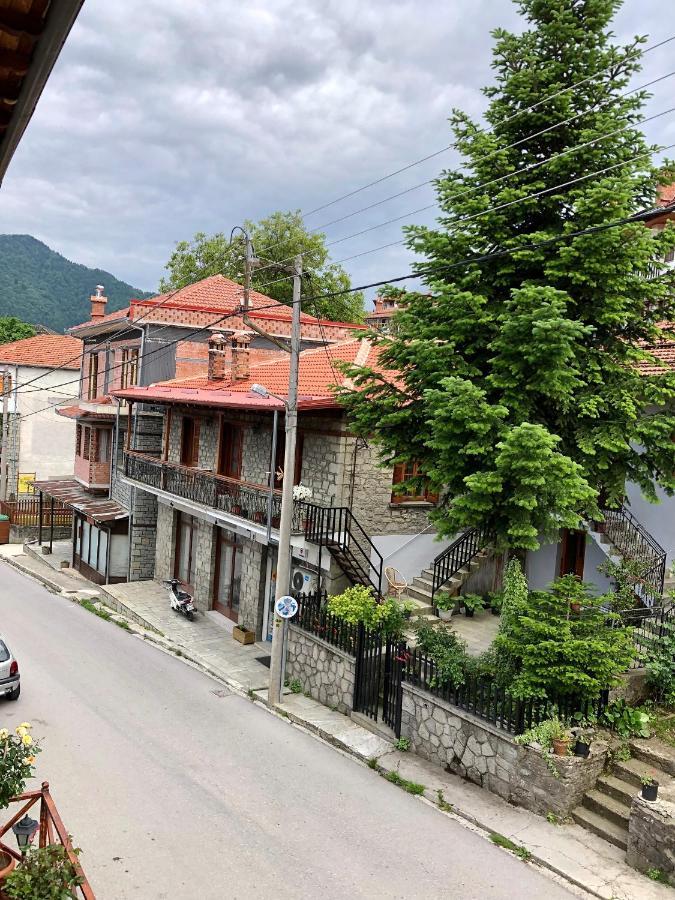 Apostolos Hotel Metsovo Ngoại thất bức ảnh