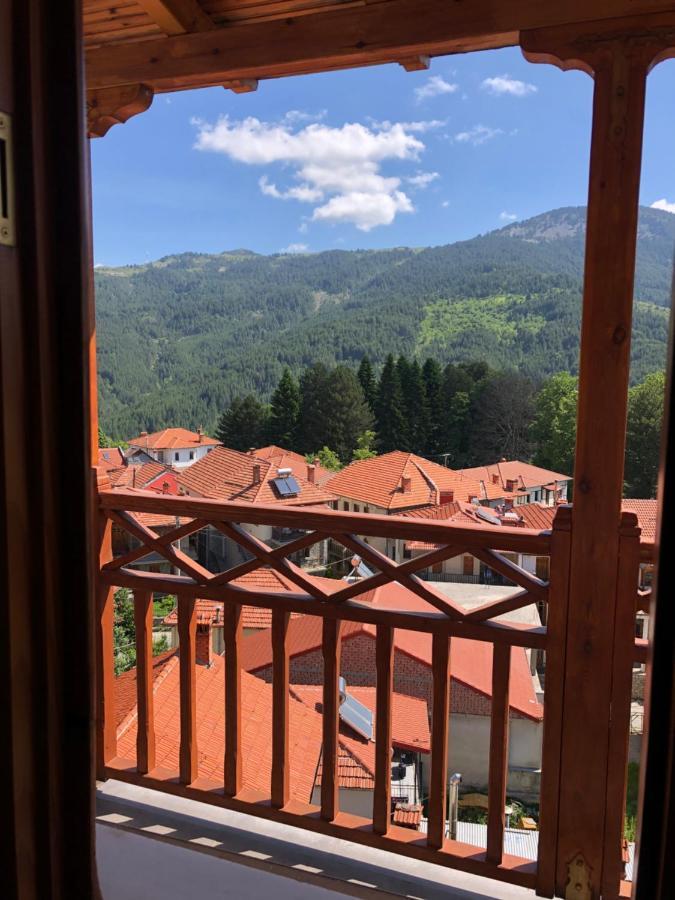 Apostolos Hotel Metsovo Ngoại thất bức ảnh