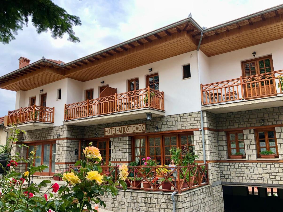 Apostolos Hotel Metsovo Ngoại thất bức ảnh
