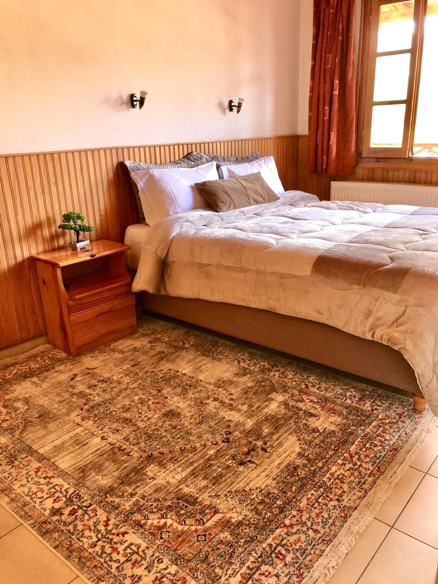 Apostolos Hotel Metsovo Ngoại thất bức ảnh